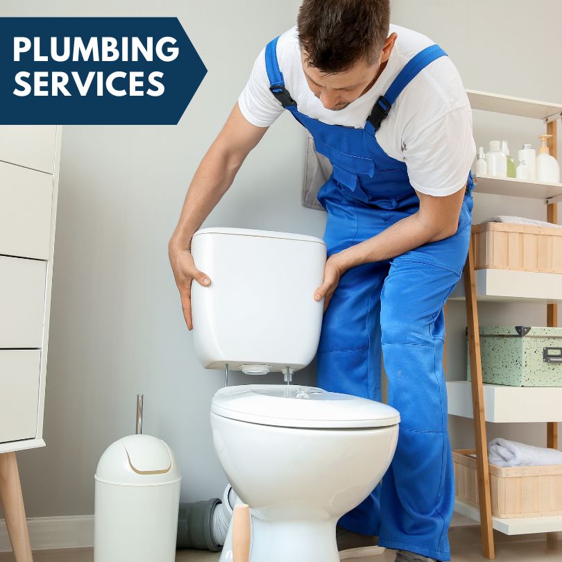 Plumbing Company in Saint Joseph, MI